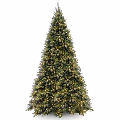 National Tree Co. Tiffany Fir 12 Foot Pre-Lit Fir Christmas Tree