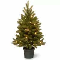 National Tree Co. Jersey Frasier Fir Entrance Potted 3 Foot Pre-Lit Fir Christmas Tree