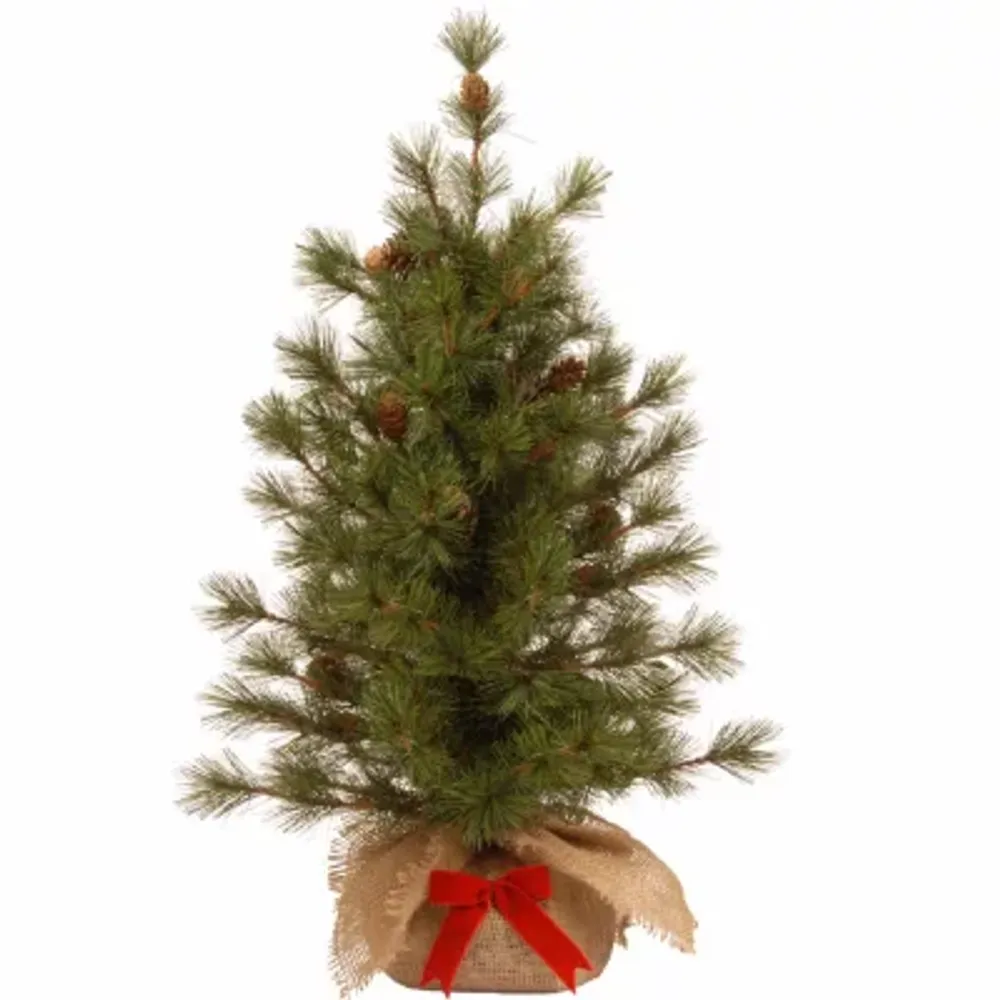 National Tree Co. Bristle Cone 3 Foot Christmas Tree