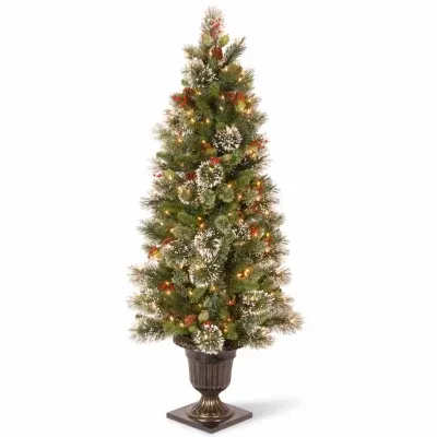 National Tree Co. Wintry Pine 5 Foot Pre-Lit Flocked Pine Christmas Tree