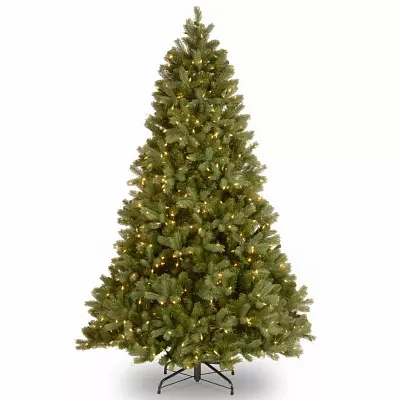 National Tree Co. Downswept Douglas Fir Hinged 6 / Foot Pre-Lit Fir Christmas Tree