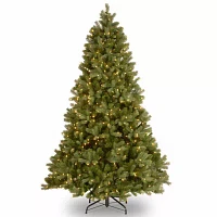 National Tree Co. Downswept Douglas Fir Hinged 6 / Foot Pre-Lit Fir Christmas Tree