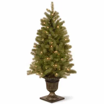 National Tree Co. Downswept Douglas Fir 4 Foot Pre-Lit Fir Christmas Tree