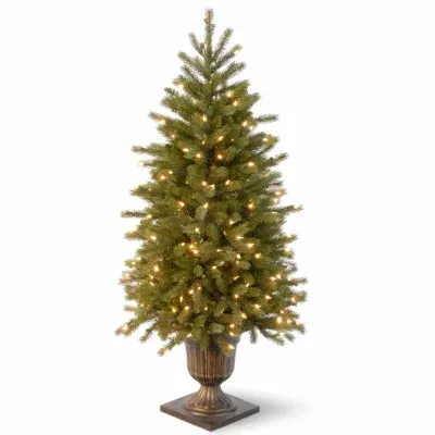 National Tree Co. Poly Jersey Fraser Fir Entrance Potted 4 Foot Pre-Lit Fir Christmas Tree