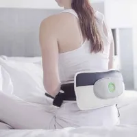 Prospera Penguin Belt Massager