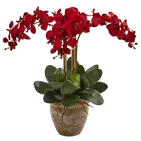 Triple Stem Phalaenopsis Silk Arrangement; Seasonal