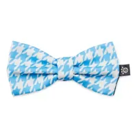 Paw & Tail Dog Spring Bowtie