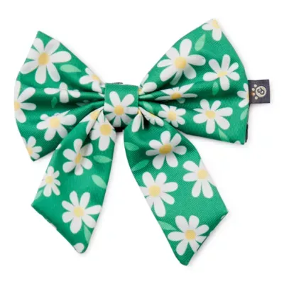 Paw & Tail Floral Dog Spring Bow