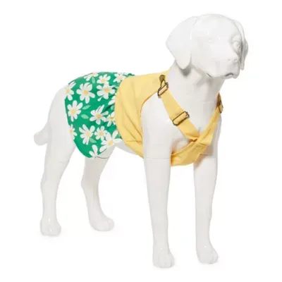 Paw & Tail Dog Dress