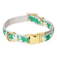 Paw & Tail Floral Dog Pet Collars