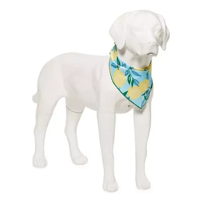 Paw & Tail Dog Spring Bandana