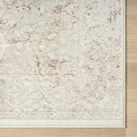 Antoine Fran Bordered Indoor Rectangular Area Rug