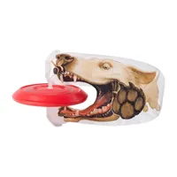 Monkey Business Sports Tailfinz Flying Disc With Stabilizing Tail Frisbees