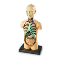 Learning Resources Human Body Anatomy Model Discovery Toy