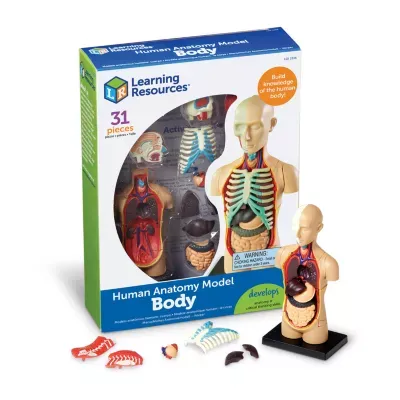 Learning Resources Human Body Anatomy Model Discovery Toy