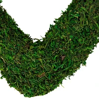 Northlight Reindeer Moss Heart Wreath