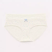 Arizona Body Cotton with Lace Hipster Panty