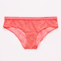 Arizona Body All Over Lace Cheeky Panty 359147