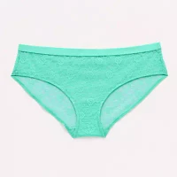 Arizona Body All Over Lace Hipster Panty 359145