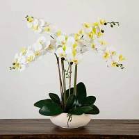 Nearly Natural 23in. White Phalaenopsis Orchid Floral Arrangement