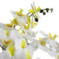 Nearly Natural 23in. White Phalaenopsis Orchid Floral Arrangement