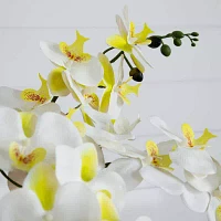 Nearly Natural 23in. White Phalaenopsis Orchid Floral Arrangement