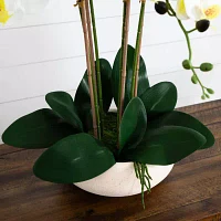 Nearly Natural 23in. White Phalaenopsis Orchid Floral Arrangement