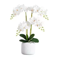 Nearly Natural 26in. White Phalaenopsis Orchid Floral Arrangement