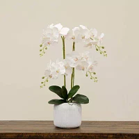 Nearly Natural 26in. White Phalaenopsis Orchid Floral Arrangement