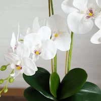 Nearly Natural 26in. White Phalaenopsis Orchid Floral Arrangement