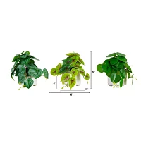 Nearly Natural 3-pc. 8in. Green Mixed Greens Artificial Plant