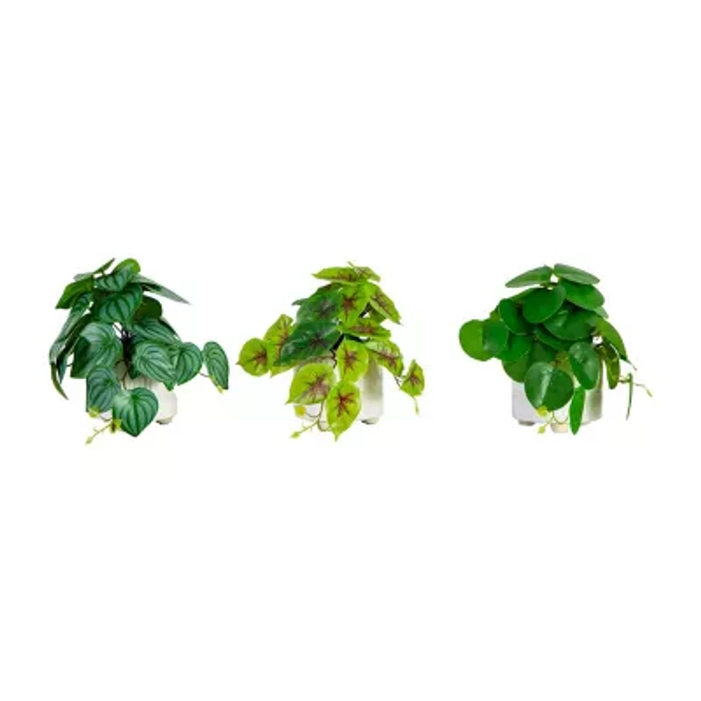 Nearly Natural 3-pc. 8in. Green Mixed Greens Artificial Plant