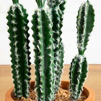 Nearly Natural 41in. Green Cactus Artificial Plant