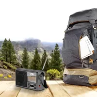 QFX AM/FM/SW Solar Radio with 2" Speaker, Rechargeable Battery, Flashlight, Carrying Strap