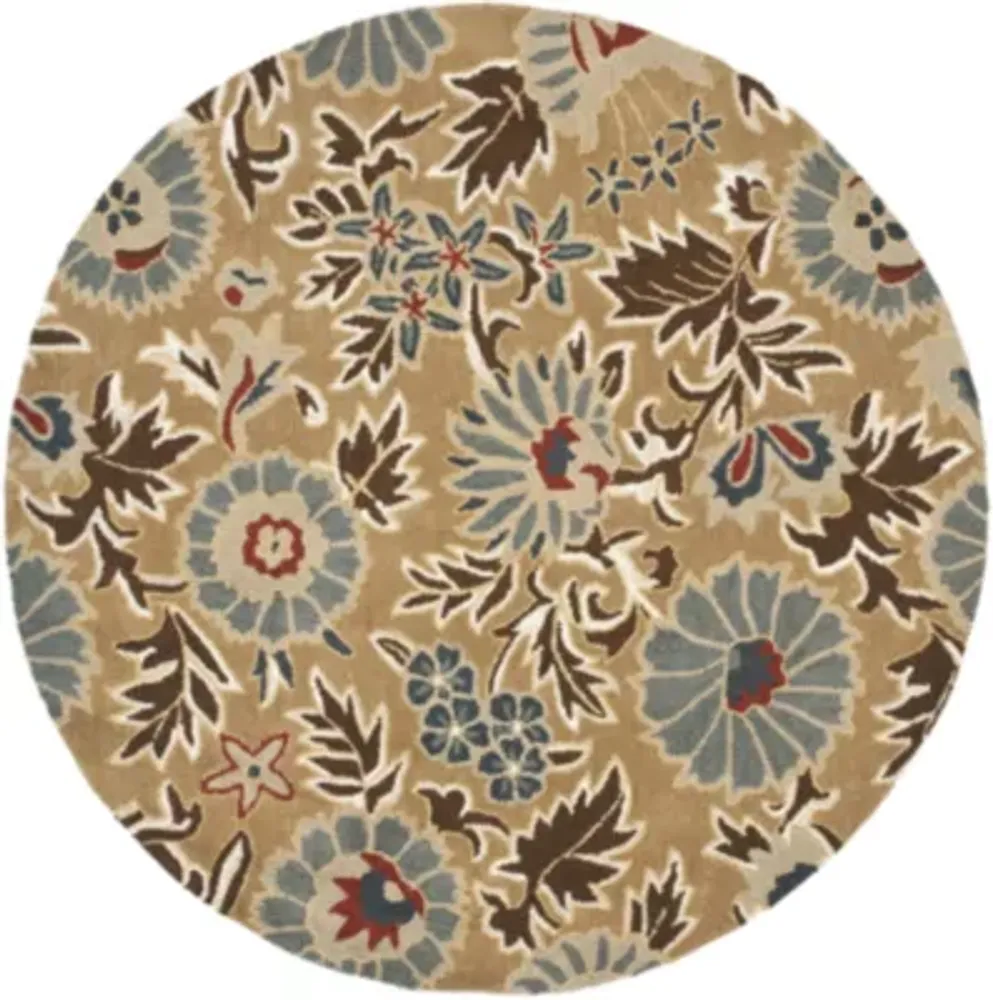 Safavieh Ramona Hand Hooked Area Rug