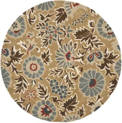 Safavieh Ramona Hand Hooked Area Rug