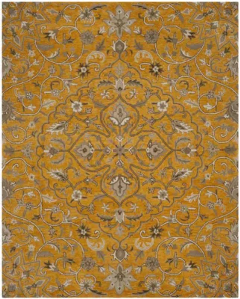 Safavieh Idonea Hand Tufted Area Rug