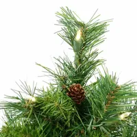 Vickerman 2' Cheyenne Pine Artificial Christmas Tree with 50 Clear Lights
