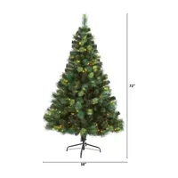 Nearly Natural 6ft. Assorted Green Scotch Pine Artificial Christmas Tree With 250 Led Lights 6 Foot Pre-Lit Pine Christmas Tree