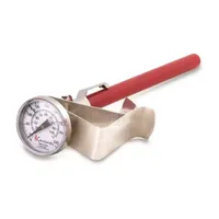 Euro Cuisine Thermometer