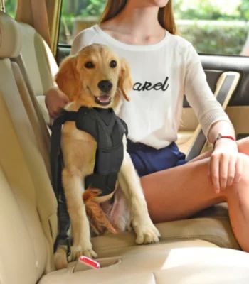 Pet Life Road-To-Safety Pet Dog Car Harness with Detachable Swivle Hook