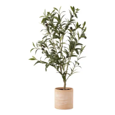 Linden Street 27" Olive Tree