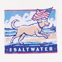 IZOD Saltwater Americana Mens Crew Neck Short Sleeve Classic Fit Americana Graphic T-Shirt