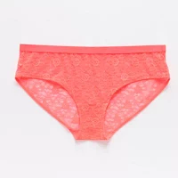 Arizona Body All Over Lace Hipster Panty 359145