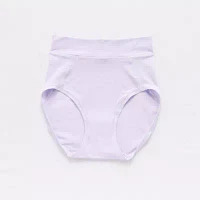 Ambrielle Comfort Stretch Brief Panty
