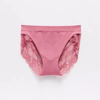 Ambrielle Seamless  Lace High Cut Panty 12p050