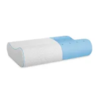 Bodipedic™ Home Aero Fusion Contour Memory Foam Pillow