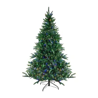 Northlight Medium Instant-Connect Noble Artificial Dual Led Lights 6 1/2 Foot Pre-Lit Fir Christmas Tree