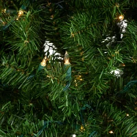 Northlight Medium Balsam Artificial Clear Lights 6 Foot Pre-Lit Pine Christmas Tree