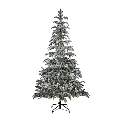 Northlight Full Whistler Noble Artificial Clear Lights 6 1/2 Foot Flocked Fir Christmas Tree